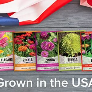 Zinnia Seeds for Planting Outdoors Flower Seeds (5 Variety Pack) Thumbelina, Lilliput, Envy, Purple Prince and Pompon Varieties for Butterflies, Bees, Pollinators Wildflower Seed by Gardeners Basics