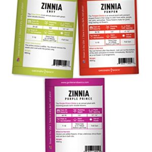 Zinnia Seeds for Planting Outdoors Flower Seeds (5 Variety Pack) Thumbelina, Lilliput, Envy, Purple Prince and Pompon Varieties for Butterflies, Bees, Pollinators Wildflower Seed by Gardeners Basics