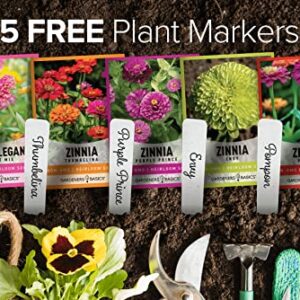 Zinnia Seeds for Planting Outdoors Flower Seeds (5 Variety Pack) Thumbelina, Lilliput, Envy, Purple Prince and Pompon Varieties for Butterflies, Bees, Pollinators Wildflower Seed by Gardeners Basics