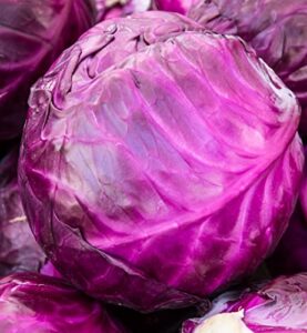 rattlefree cabbage seeds for planting | heirloom & non-gmo | 500 red acre cabbage vegetable seeds for planting home gardens | growing instructions included on planting packets