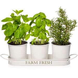 herb pots with tray set, indoor herb planter, farmhouse inspired decorative herb garden planter with drain holes for healthy plants, ideal for indoor windowsill