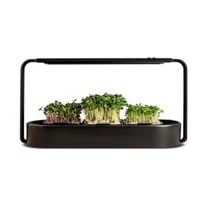 ingarden superfood microgreens indoor growing kit with 3 starter seed pod trays and grow light, smart indoor garden (ceramic) | jet black