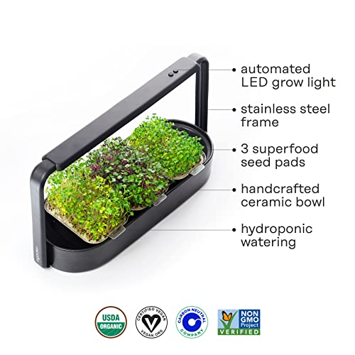 ingarden Superfood Microgreens Indoor Growing Kit with 3 Starter Seed Pod Trays and Grow Light, Smart Indoor Garden (Ceramic) | Jet Black