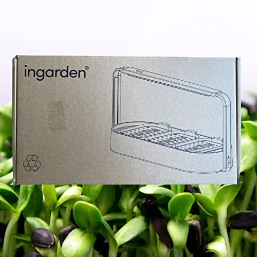 ingarden Superfood Microgreens Indoor Growing Kit with 3 Starter Seed Pod Trays and Grow Light, Smart Indoor Garden (Ceramic) | Jet Black