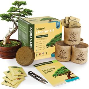 bonsai starter kit – gardening gift for women & men – bonsai tree growing garden crafts hobby kits for adults, unique diy hobbies for plant lovers – unusual christmas gifts ideas, or gardener mother