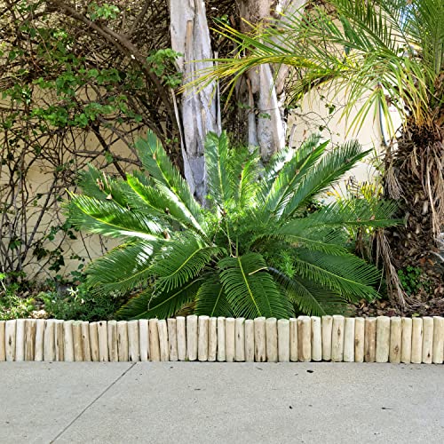 Backyard X-Scapes Natural Eucalyptus Wood Solid Log for Garden Edging Lawn Landscape Fence Borders 72 in L x 6 in H x 1.25 in D