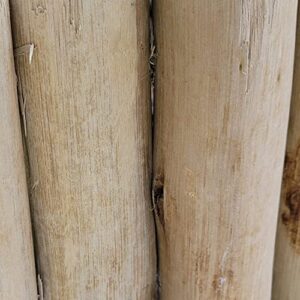 Backyard X-Scapes Natural Eucalyptus Wood Solid Log for Garden Edging Lawn Landscape Fence Borders 72 in L x 6 in H x 1.25 in D