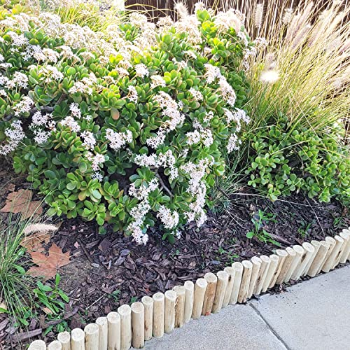 Backyard X-Scapes Natural Eucalyptus Wood Solid Log for Garden Edging Lawn Landscape Fence Borders 72 in L x 6 in H x 1.25 in D