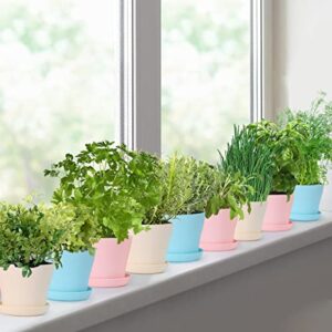 Indoor Herb Garden Starter Kit - 9 Herb Seeds Growing Kit, Organic&Non GMO Home Windowsill Plant Kit with All Gardening Tools, Ideal DIY Gardening Gift for Kids Adults