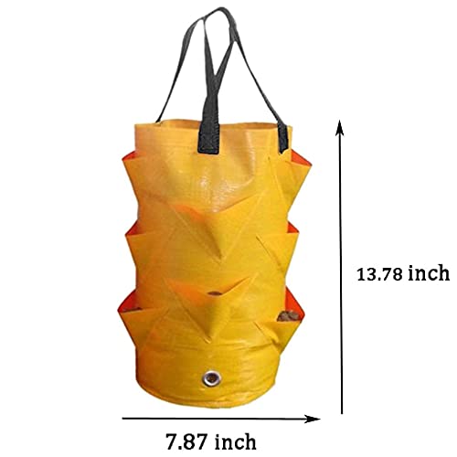 EBOCACB 3 pcs Hanging Planter Bag with Handles, Plastic Hanging Strawberry Planting Containers Strawberry Grow Bags Foldable Durable Growing Bags Grow Planter for Growing Vegetables Flowers Herb Plant