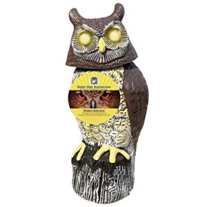 owlery solar owl with flashing eyes, spinning head and realistic tweets, plastic owl decoration for home, garden, patio and fence