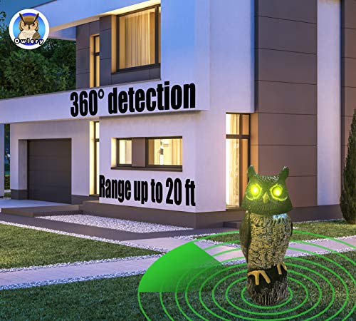 Owlery Solar Owl with Flashing Eyes, Spinning Head and Realistic Tweets, Plastic Owl Decoration for Home, Garden, Patio and Fence