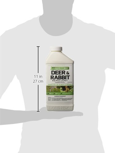 Liquid Fence Deer & Rabbit Repellent Concentrate,Keep Deer & Rabbits Out of Garden Patio &Backyard,Use on Gardens Shrubs &Trees, Harmless to Plants &Animals When Used & Stored as Directed, 40fl Ounce