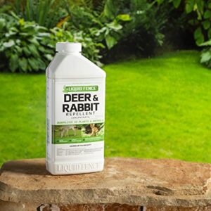 Liquid Fence Deer & Rabbit Repellent Concentrate,Keep Deer & Rabbits Out of Garden Patio &Backyard,Use on Gardens Shrubs &Trees, Harmless to Plants &Animals When Used & Stored as Directed, 40fl Ounce