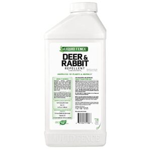 Liquid Fence Deer & Rabbit Repellent Concentrate,Keep Deer & Rabbits Out of Garden Patio &Backyard,Use on Gardens Shrubs &Trees, Harmless to Plants &Animals When Used & Stored as Directed, 40fl Ounce