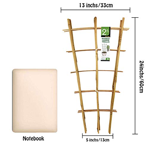 Natural Bamboo Trellis 24 Inches Tall, Mininfa Garden Ladder Trellis, Plant Trellis for Climbing Plants, Vegetables, Pots - 3 Pack