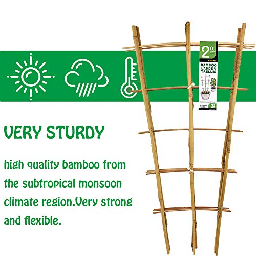 Natural Bamboo Trellis 24 Inches Tall, Mininfa Garden Ladder Trellis, Plant Trellis for Climbing Plants, Vegetables, Pots - 3 Pack