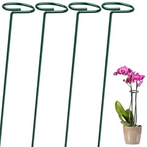 leobro 4 pack plant support stakes, garden single stem flower plant support, plant cage support ring, plant sticks, plant stakes for indoor plants amaryllis orchid peony tomato flower, 40cm/15.8inch
