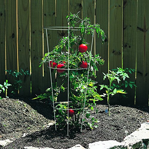 Panacea Products 89723 Tomato and Plant Support Cage,Galvanized, Pack of 10