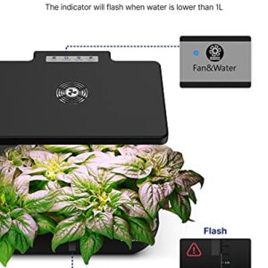 iDOO WiFi 12 Pods Hydroponic Growing System with 6.5L Water Tank, Smart Hydro Indoor Herb Garden Up to 14.5", Plants Germination Kit with Pump System, Fan, Grow Light for Home Kitchen Gardening, Black