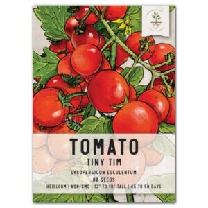 seed needs, tiny tim miniature tomato seeds for planting indoors (lycopersicon esculentum) single package of 80 seeds – heirloom, non-gmo & untreated