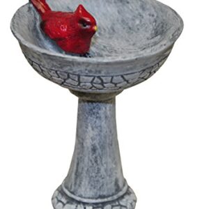 G & F Products MiniGardenn 10027 Fairy Garden Polyresin Miniature, Cardinal Birdbath Pick