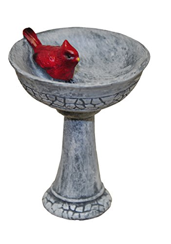 G & F Products MiniGardenn 10027 Fairy Garden Polyresin Miniature, Cardinal Birdbath Pick