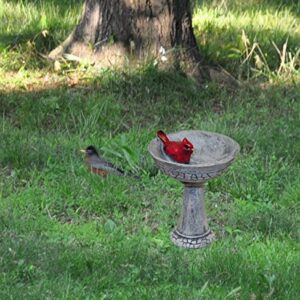 G & F Products MiniGardenn 10027 Fairy Garden Polyresin Miniature, Cardinal Birdbath Pick