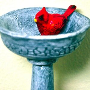 G & F Products MiniGardenn 10027 Fairy Garden Polyresin Miniature, Cardinal Birdbath Pick
