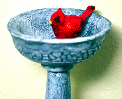 G & F Products MiniGardenn 10027 Fairy Garden Polyresin Miniature, Cardinal Birdbath Pick