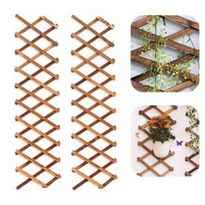 iceyyyy wood lattice wall planter – 2pack expandable hanging wooden planter trellis frame, indoor air plant vertical rack wall decor for room garden
