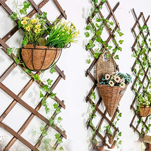 Iceyyyy Wood Lattice Wall Planter - 2Pack Expandable Hanging Wooden Planter Trellis Frame, Indoor Air Plant Vertical Rack Wall Decor for Room Garden