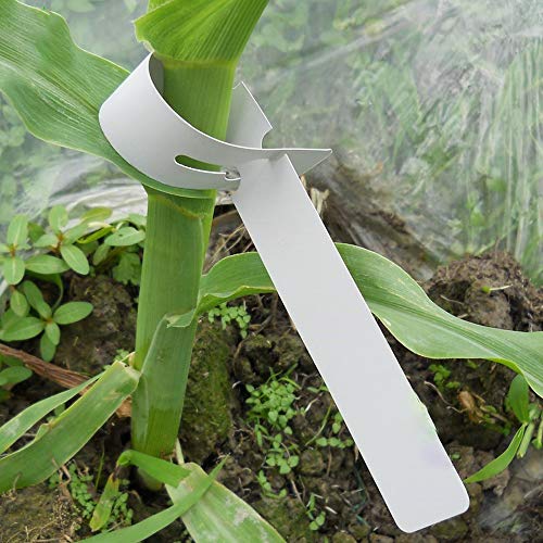Mziart 120Pcs 6 Colors Plastic Plant Labels Wrap Around Tree Tags Markers, Adjustable Nursery Garden Labels Plant Tags with Large Writing Surface