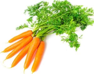 root vegetable seeds for planting vegetables and fruits,non-gmo heirloom vegetable seeds vegetables seeds at home vegetable garden and hydroponics seed pods (600ct danvers carrot seeds, 1 gram)