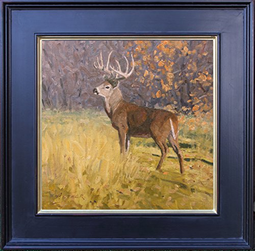 Autumn Whitetail