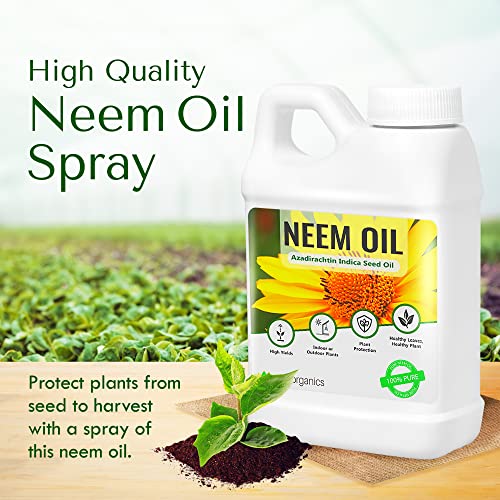 Pure Neem Oil, Neem Oil for Plants, Cold-Pressed Azadiracthin Neem Oil Concentrate for Plants and Irrigation, Plant-Based Dormant Oil Spray for Indoor and Outdoor Gardens, 16 oz - Neem Organics