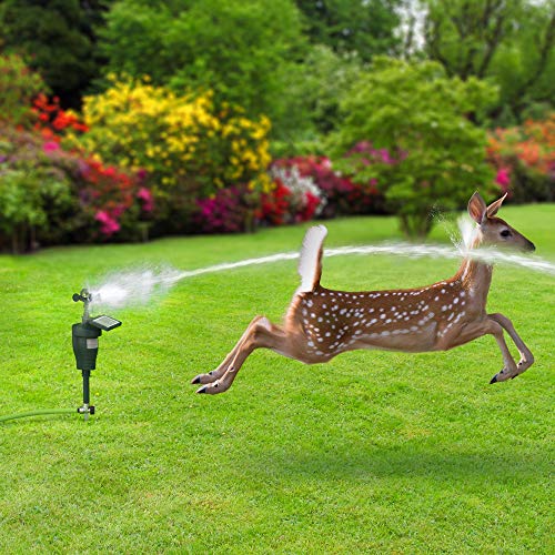 Hoont Cobra Animal Repeller | Outdoor Solar-Powered Motion-Activated Water Blaster with Powerful Jet Spray for Yard, Lawn & Garden | Scare Away Deer, Rabbits, Squirrels, Birds & Other Animals & Pests