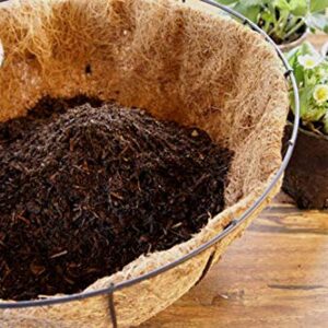 FDGARDEN 2PCS Round Replacement Coco Liner for Hanging Basket, 12 inch Coconut Fiber Plant Basket Liner for Garden Planter Flower Pot (12 inch Round)