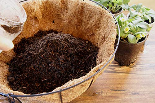 FDGARDEN 2PCS Round Replacement Coco Liner for Hanging Basket, 12 inch Coconut Fiber Plant Basket Liner for Garden Planter Flower Pot (12 inch Round)