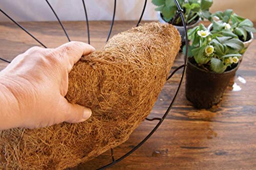 FDGARDEN 2PCS Round Replacement Coco Liner for Hanging Basket, 12 inch Coconut Fiber Plant Basket Liner for Garden Planter Flower Pot (12 inch Round)