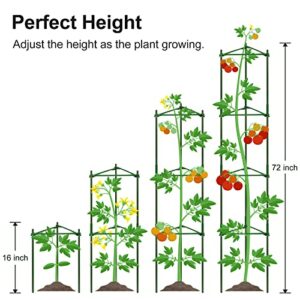 CKE 3 Pack Tomato Cage – Plant Stakes and Support with Clips - Upto 72 inches Tall with 40 Pcs Clips + Garden Twist Ties