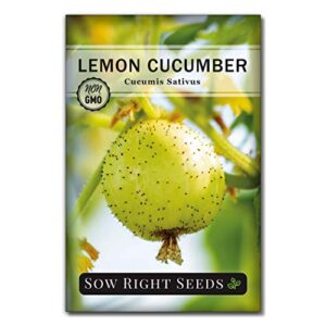 sow right seeds – lemon cucumber seeds for planting – non-gmo heirloom seeds with instructions to plant and grow a home vegetable garden, great gardening gift (1)