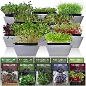 survival garden seeds microgreens 10 pack – instructions to plant, sprout, and grow a mix of microgreen plants – arugula, broccoli, radish, pea, sunflower, basil, cabbage, buckwheat, kale, beet seed