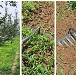 KeluKES Hoe weed rake farm tool hoe weed hoe root digging the ground loose soil nail rake farm tool thick and sharp(Six-tooth rake)