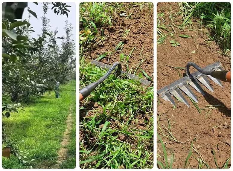 KeluKES Hoe weed rake farm tool hoe weed hoe root digging the ground loose soil nail rake farm tool thick and sharp(Six-tooth rake)