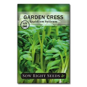 sow right seeds – cress seed for planting – all non-gmo heirloom cress seeds with full instructions for easy planting and growing your kitchen herb garden, indoor or outdoor; great gift (1)
