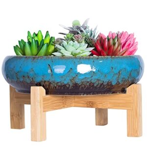 succulent pots – large succulent planters pots with drainage, 10 inch ceramic bonsai pot with stand round shallow planter for indoor/outdoor plants decorative garden cactus flower container bowl