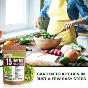 15 Culinary Herb Seeds Variety - USA Grown for Indoor or Outdoor Garden - Heirloom and Non GMO - Basil, Parsley, Cilantro, Dill, Rosemary, Mint, Thyme, Oregano, Tarragon, Chives, Sage, Arugula & More
