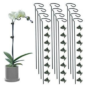 lunhans 12 pack plant support stakes with 24 pcs plant clips,single stem support stake plant cage support ring for garden flowers rose tomatoes peony lily rose herbs vegetable (15.7 inch)