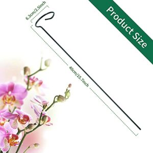 Lunhans 12 Pack Plant Support Stakes with 24 Pcs Plant Clips,Single Stem Support Stake Plant Cage Support Ring for Garden Flowers Rose Tomatoes Peony Lily Rose Herbs Vegetable (15.7 inch)